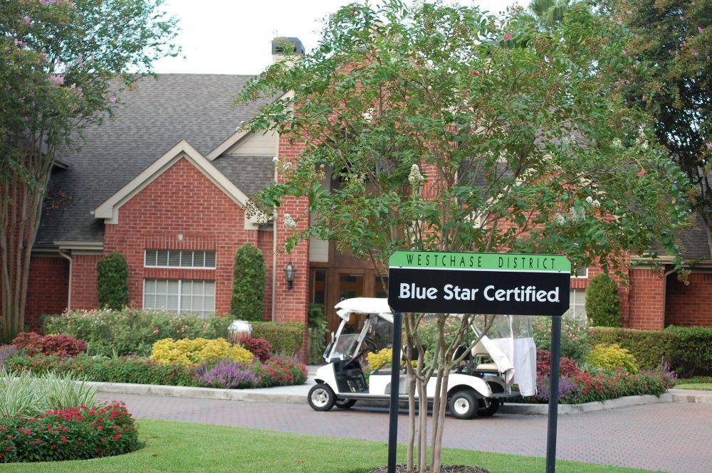 Safety-Blue-Star Safety-Blue-Star